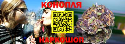 молекула духа Ставрополь