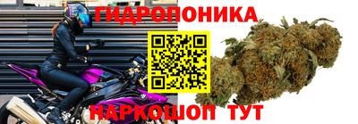 молекула духа Ставрополь