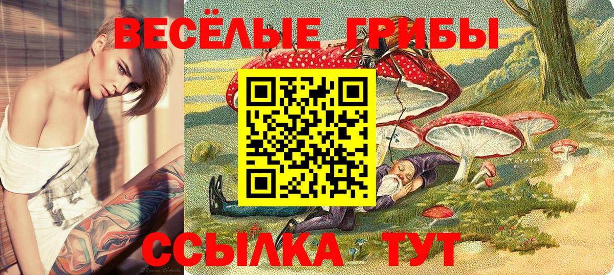 Новотроицк  Галлюциногенные грибы Psilocybine cubensis  Вход с VPN  Галлюциногенные грибы Psilocybine cubensis 