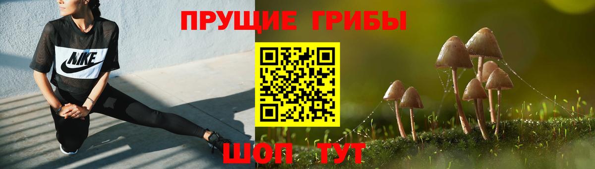 Псилоцибиновые грибы ЛСД Новотроицк